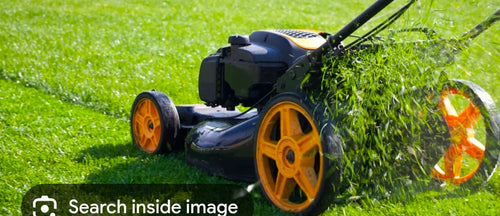 Yard Work